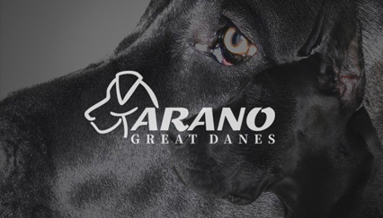 Breeder of great dane, dog logo